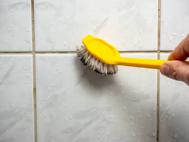 Best Attic Mold Removal  in Audubon, IA