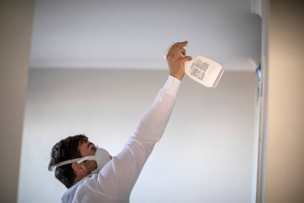 Professional Mold Removal in Audubon, IA