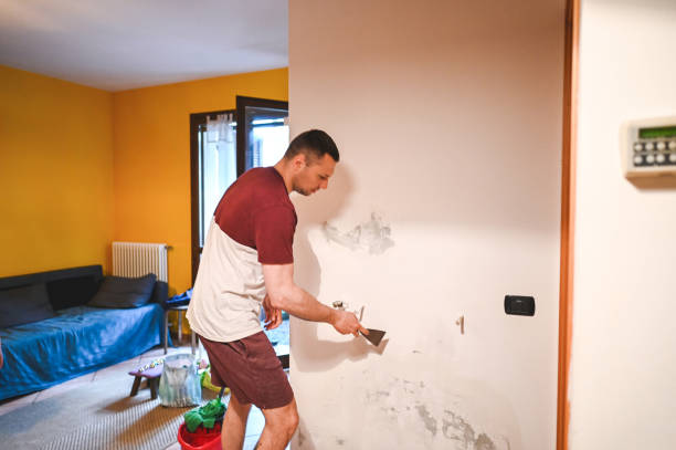 Best Mold Removal Specialists  in Audubon, IA
